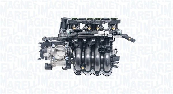 Intake Manifold Module